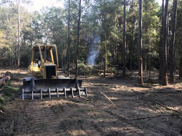 Lake Charles Land Clearing